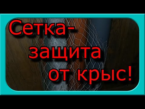 Видео: СЕТКА ЗАЩИТА ОТ КРЫС!!!