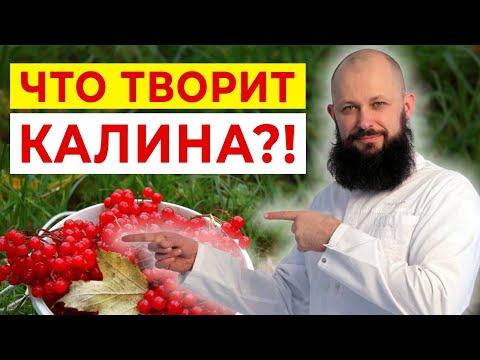 Видео: Супер ягода для здоровья и иммунитета — КАЛИНА! / Рецепт варенья из калины от БАБУШКИ!
