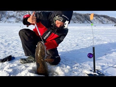 Видео: СЕРДЦЕ ЗАМЕРЛО, КОГДА ИЗ НИОТКУДА ПОЯВИЛСЯ ЭТОТ МОНСТР и НАЧАЛ ЖРАТЬ КАМЕРУ! НАЛИМ,СИГ! Рыбалка 2024