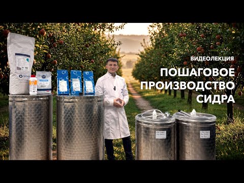 Видео: Видеолекция: пошаговое производство сидра || НОВЫЙ ФОРМАТ!