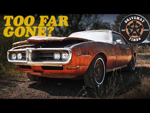 Видео: Мой сосед не ездил на этом Firebird 1968 года уже 40 лет! Мы собираемся это изменить | Driveway F...