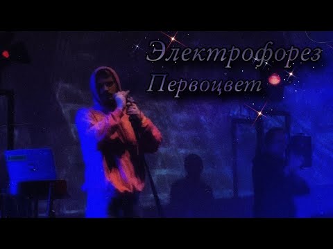 Видео: 04. Электрофорез — «Первоцвет» (Москва, «Mutabor», 08.10.23)