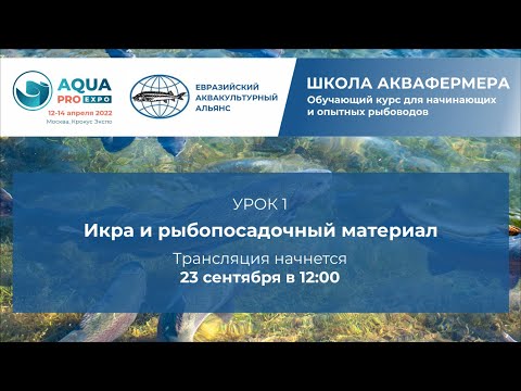 Видео: Урок 1: Икра и рыбопосадочный материал