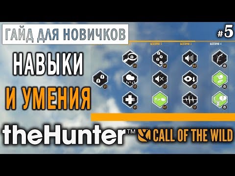 Видео: theHunter Call of the Wild #5 🔫 - Навыки и Умения - ГАЙД для Начинающих