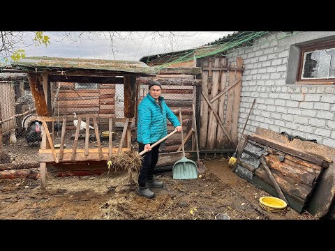Видео: Поросятам месяц! Генеральная уборка в загоне