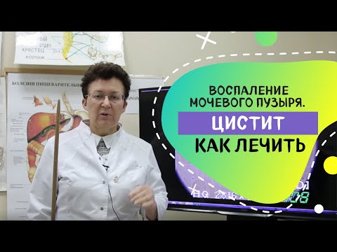 Видео: ЦИСТИТ. ВОСПАЛЕНИЕ МОЧЕВОГО ПУЗЫРЯ. КАК ЛЕЧИТЬ.