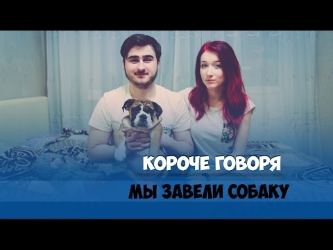 Видео: КОРОЧЕ ГОВОРЯ, ПЕРВЫЙ РАЗ ЗАВЕЛИ СОБАКУ
