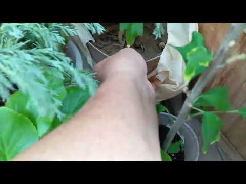Видео: Н .П .писати скаргу,мене ж зроблять винною ,не думаю ,що зможу щось довести .☹️😭😭😭