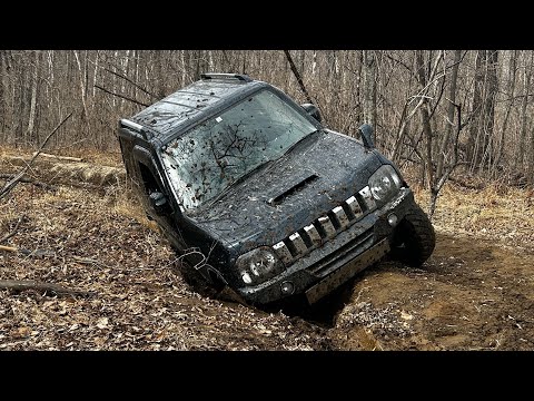 Видео: Suzuki Jimny Покатушки по лесу