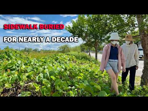 Видео: Тротуар почти на десятилетие оказался погребённым под бытовыми отходами соседей.