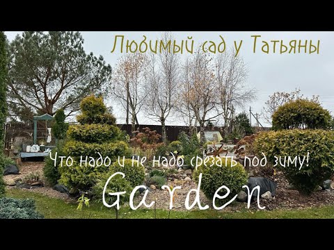 Видео: "Что обрезать, а что оставить на зиму: мой опыт с растениями" 10 ноября 2025 г.
