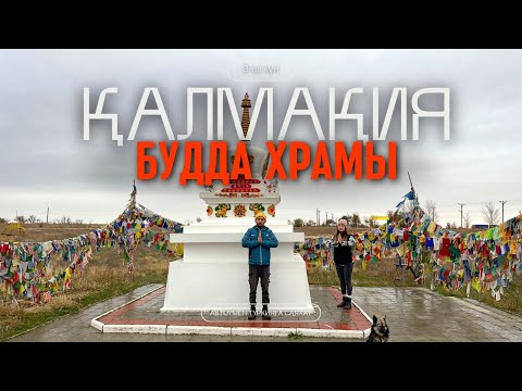 Видео: ҚАЛМАҚТАР ӘЛІ ДЕ БАР МА???