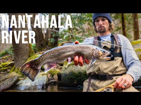 Видео: Нахлыстовая рыбалка: ЛУЧШИЙ ручей для ловли форели в Северной Каролине | Река Нантахала