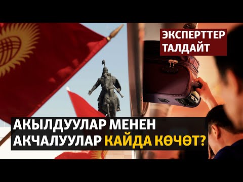 Видео: Акылдуулар менен акчалуулар кайда көчөт?
