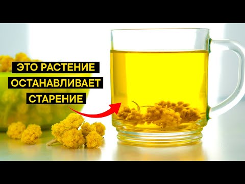 Видео: Это растение омолаживает старую КРОВЬ, по роликам на ютубе не поверила и проверила на себе