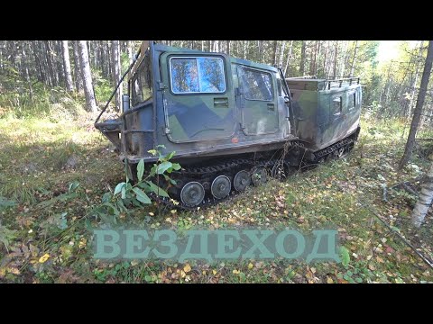 Видео: ЖЕЛЕЗНАЯ ТАЙГА! МЕТАЛЛОЛОМ В ЛЕСУ!