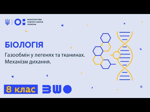 Видео: 8 клас. Біологія. Газообмін у легенях та тканинах. Механізм дихання