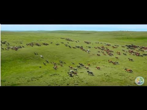 Видео: Қытай қазақтары жайлы керемет кино||Өмір ағысында немесе Соңғы көш(远去的牧歌)