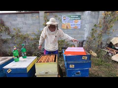 Видео: Многокорпусни Хибридни Пчелни Кошери