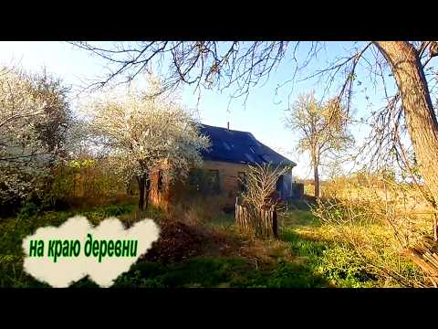 Видео: 💔 Живу просто и счастливо | на краю исчезающей деревни