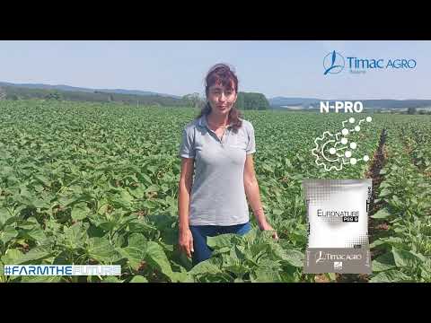 Видео: Технологии при слънчоглед, Шумен