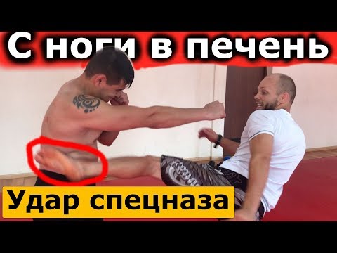Видео: С ноги в печень  УДАР СПЕЦНАЗА