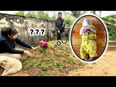 Видео: Невероятный! обожаю Каки очень сильно!!!!