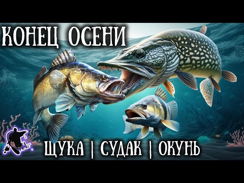 Видео: Это стоит знать каждому🎣 Рыбалка на хищника поздней осенью. Щука,судак,окунь.