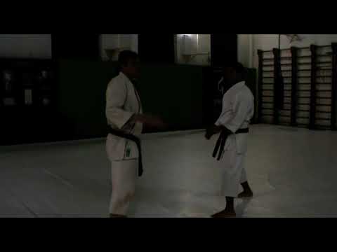 Видео: Основа правильного передвижения в Фудокане | Использование внутренней "пружины" для выброса энергии