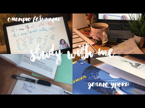 Видео: Study With Me| подготовка к егэ and домашнее задание