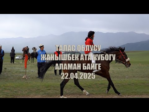 Видео: Талас облусу, Женишбек ата кубогу, Аламан байге 22.04.2025