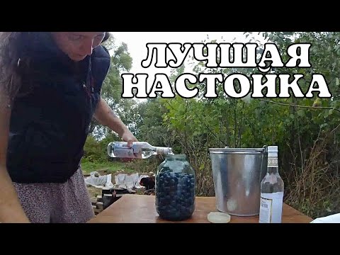 Видео: ВКУС ТАКОЙ, ЧТО НЕ ВОЗМОЖНО ОТКАЗАТЬСЯ ОТ ТАКОЙ НАСТОЙКИ