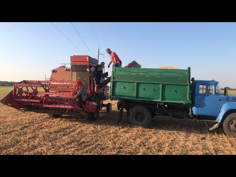 Видео: Обжинки! На цьому полі такого врожаю ніколи не було!