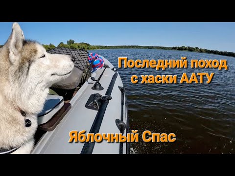 Видео: На ПВХ лодке по островам Углического водохраналища вместе с хаски