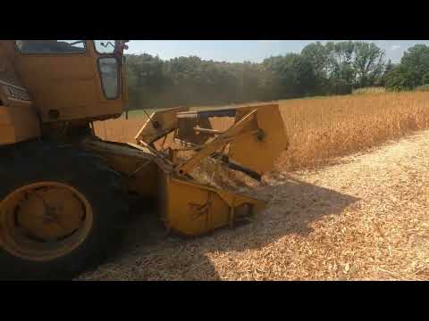 Видео: Молотимо сою, САМПО - 500.