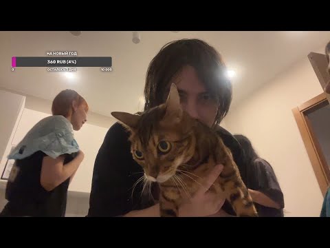 Видео: sqwore и kayyo отвечают на вопросы на протяжении 13 минут и 15 секунд (нарезка со стрима)