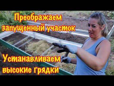 Видео: Купили высокие грядки с Wildberries.Посадили новый сорт клубники Преображаем участок. Дача