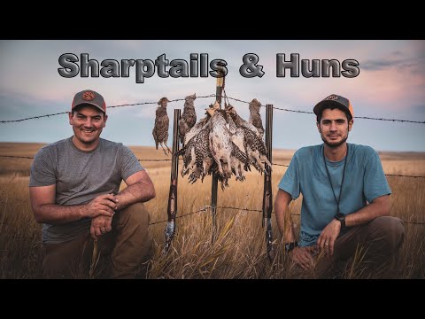 Видео: Охота на острохвостов и гуннов — тяжкий успех — Монтана 2025, часть 2