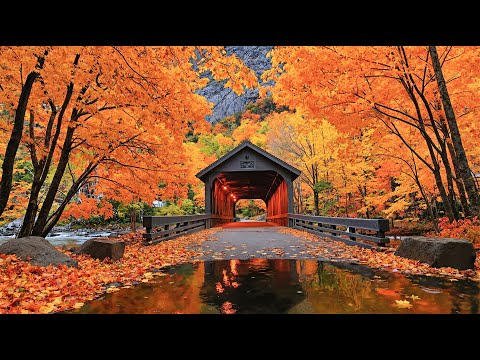 Видео: Красивая расслабляющая музыка 🍁 Глубокое расслабление, умиротворённые осенние звуки,