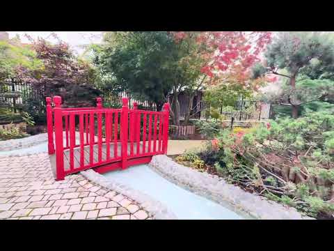 Видео: Маленький японский сад в городе Пюто #france #puteaux #jardinjapones #японскийсад 