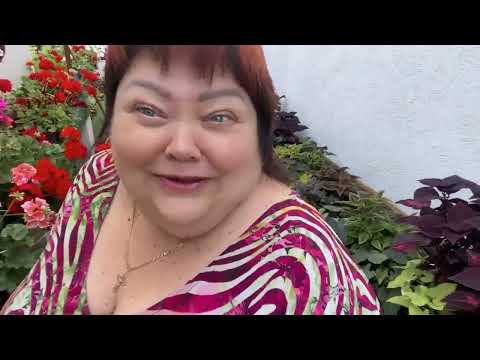 Видео: РАЗНЫЕ ВИДЫ СТРИЖКИ ТУИ