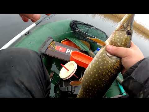 Видео: Ловля щуки на озере Балабанное