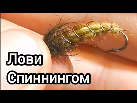 Видео: Вязать просто! Лови на разнесенные монтажи!