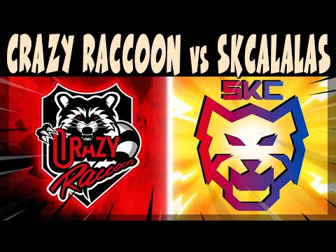 Видео: КРУТОЙ СКРИМ, ИГРАЮТ - CRAZY RACCOON vs SKCALALAS #brawlstars