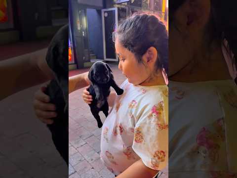 Видео: Так хотели забрать малышей ❤️ сердце болело очень. Надеюсь когда нибудь это произойдет! #собачки