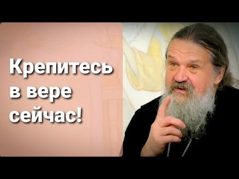 Видео: О биометрических паспортах и искушениях последних времен. о. Андрей Лемешонок.