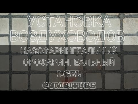 Видео: УСТАНОВКА ВОЗДУХОВОДОВ.  НАЗОФАРИНГЕАЛЬНЫЙ,  ОРОФАРИНГЕАЛЬНЫЙ, I-GEL И COMBITUBE.