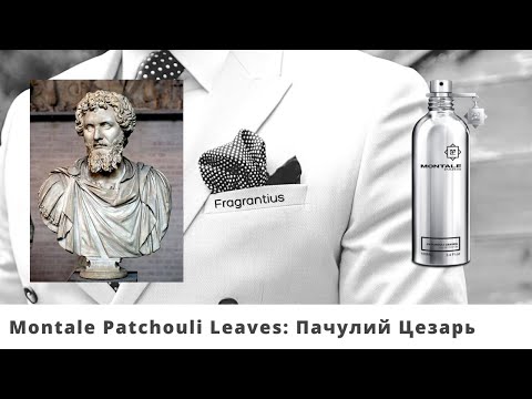 Видео: Montale Patchouli Leaves:  Пачулий Цезарь