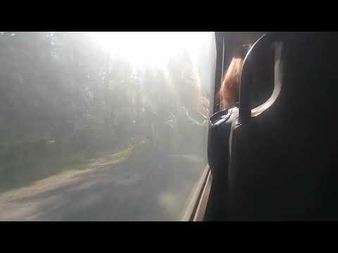 Видео: Автобус 610  "Дер.  Нинимяки   -  ж/д. ст.  "Грузино"