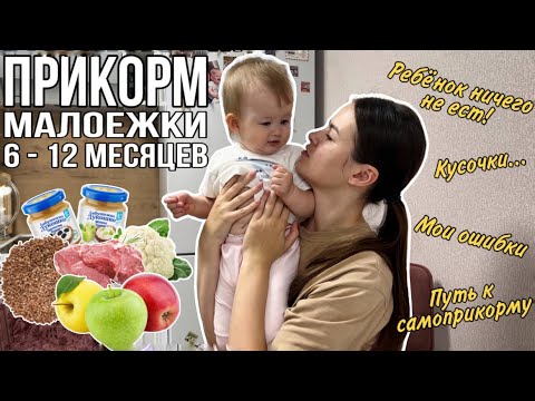 Видео: Прикорм малоежки | мой ребёнок ничего не ест | наша история прикорма